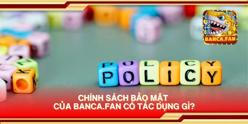 Chính sách bảo mật của hoyvalle.com.mx có tác dụng gì?