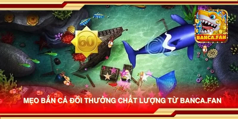 Mẹo bắn cá đổi thưởng chất lượng từ hoyvalle.com.mx