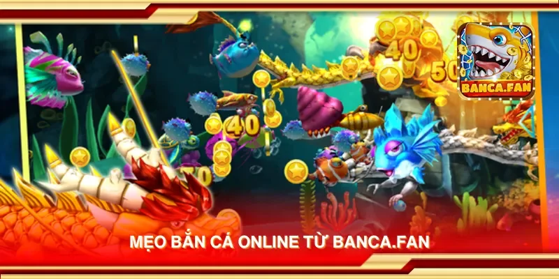 Mẹo bắn cá online từ hoyvalle.com.mx