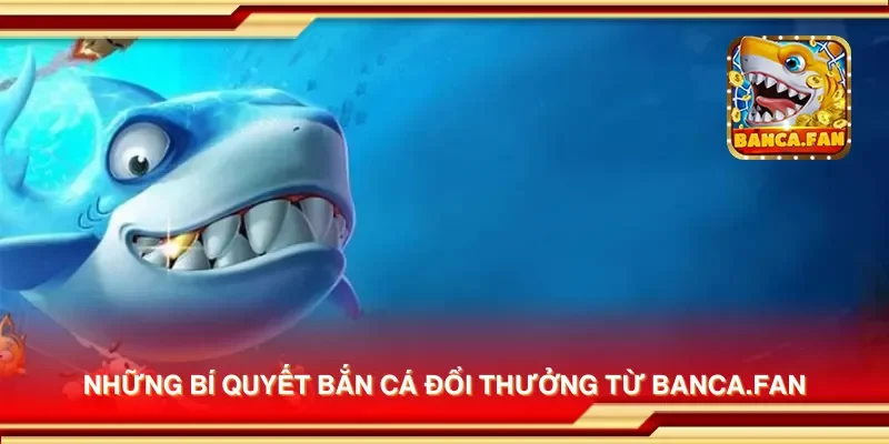 Những bí quyết bắn cá đổi thưởng từ hoyvalle.com.mx