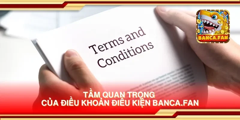 Tầm quan trọng của điều khoản điều kiện hoyvalle.com.mx