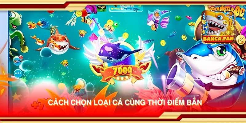 Cách chọn loại cá cùng thời điểm bắn